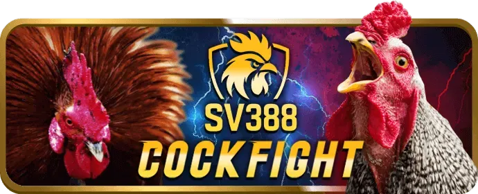 Hình ảnh minh họa dịch vụ hỗ trợ khách hàng của 39go99 code